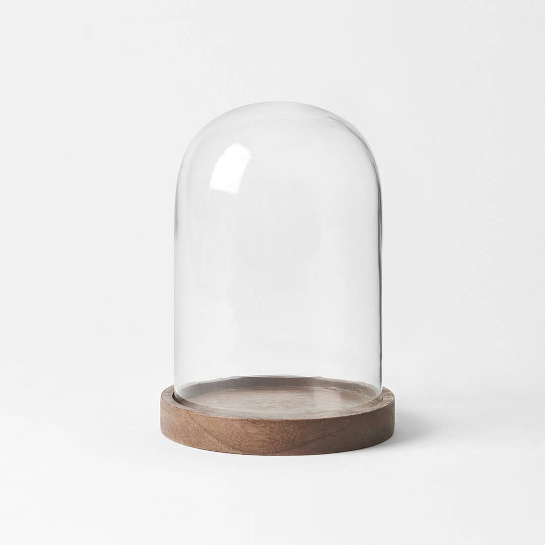 Glass Dome Base Wood Base Glass Dome - Bed Bath N' Table