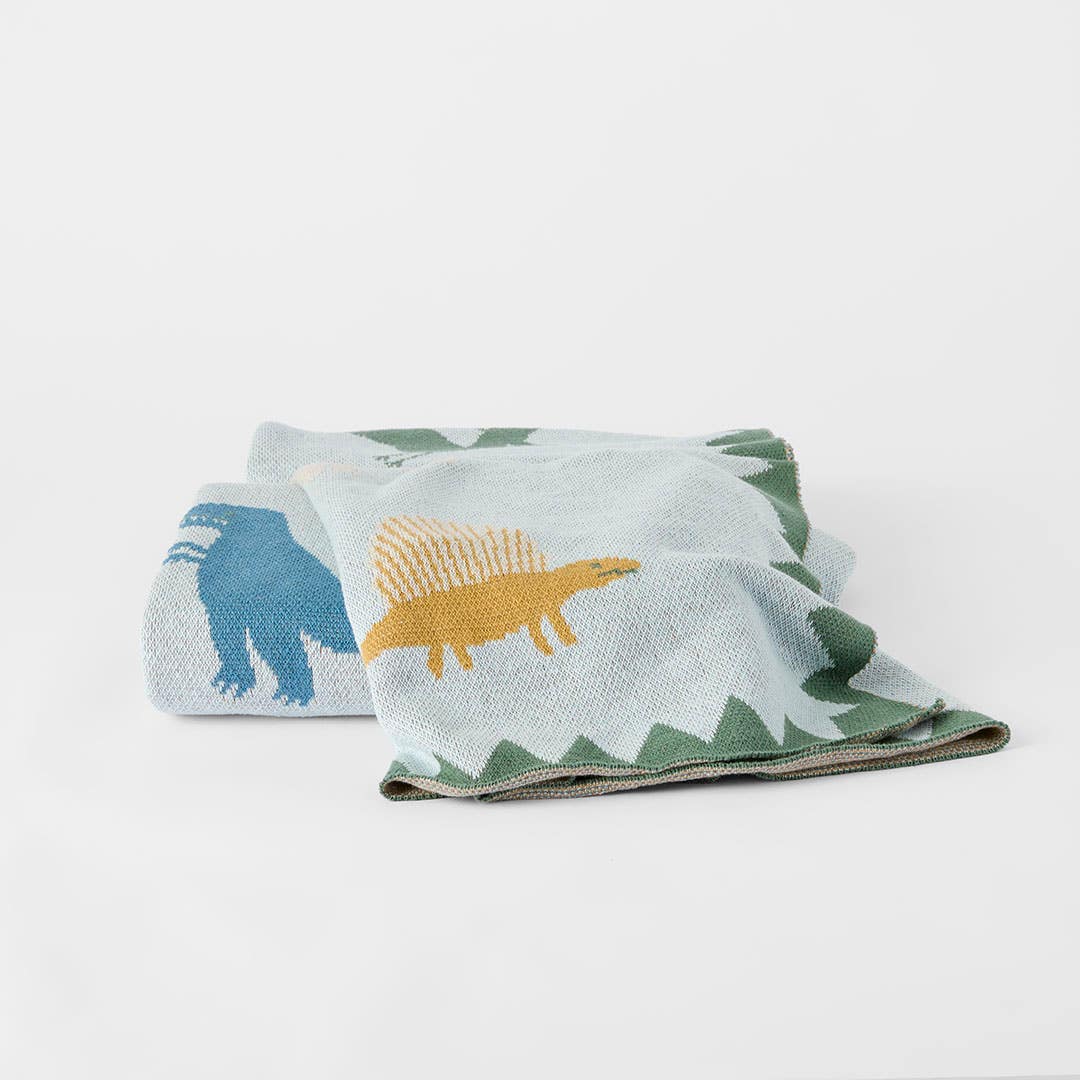 https://s3-ap-southeast-2.amazonaws.com/fusionfactory.commerceconnect.bbnt.production/pim_media/000/192/184/LF_Rex-Dinosaur-Knitted-Throw_Blue-Green_26194101_SI.jpg?1743139254