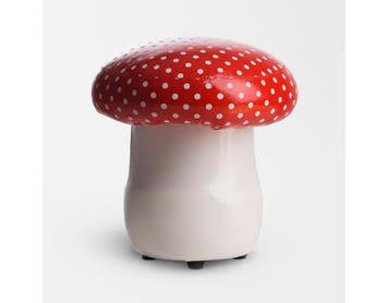 https://s3-ap-southeast-2.amazonaws.com/fusionfactory.commerceconnect.bbnt.production/pim_media/000/165/743/M_F-Kids-ToadStool-16288601-de_SI.jpg?1720420155