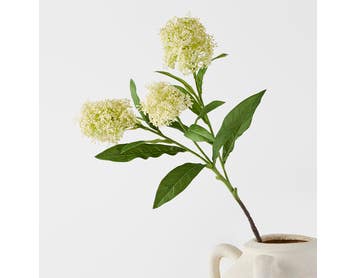 https://s3-ap-southeast-2.amazonaws.com/fusionfactory.commerceconnect.bbnt.production/pim_media/000/181/485/M_F_Amaranth-Stem_White_26132101_SI.jpg?1734495614