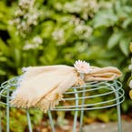 https://s3-ap-southeast-2.amazonaws.com/fusionfactory.commerceconnect.bbnt.production/pim_media/000/156/776/M_F_Easter-24_LS_Dining_Daisy_Napkin_Ring_SI.jpg?1701901092