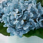 https://s3-ap-southeast-2.amazonaws.com/fusionfactory.commerceconnect.bbnt.production/pim_media/000/183/880/M_F_Hydrangea-in-Ceramic-Pot_Bluecv_26131601_Detail_SI.jpg?1734663650