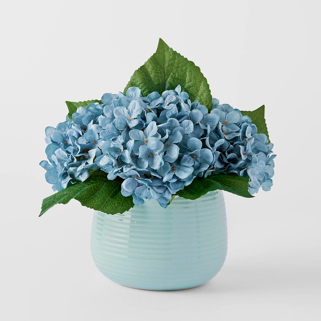 https://s3-ap-southeast-2.amazonaws.com/fusionfactory.commerceconnect.bbnt.production/pim_media/000/183/879/M_F_Hydrangea-in-Ceramic-Pot_Bluecv_26131601_SI.jpg?1734663649