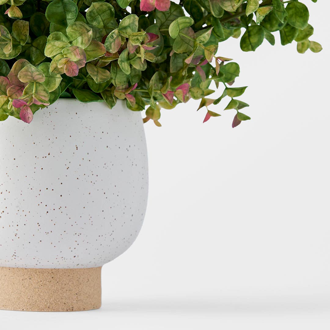 https://s3-ap-southeast-2.amazonaws.com/fusionfactory.commerceconnect.bbnt.production/pim_media/000/184/456/M_F_Money-Leaf-in-Ceramic-Pot_Green_26132201_Detail_SI.jpg?1734665966