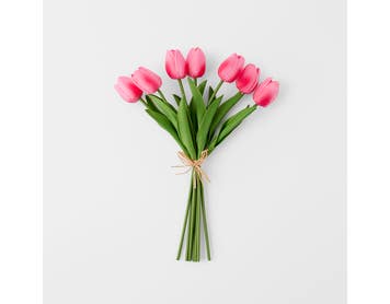 https://s3-ap-southeast-2.amazonaws.com/fusionfactory.commerceconnect.bbnt.production/pim_media/000/203/046/M_F_S25-26_Tulip-Bunch-7_Pink_26657201_SI.jpg?1760507698