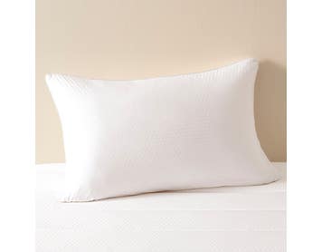 https://s3-ap-southeast-2.amazonaws.com/fusionfactory.commerceconnect.bbnt.production/pim_media/000/222/512/M_F_S26-27_Cooling_Std_Pillow_Protector_27283601_SI.jpg?1789623226