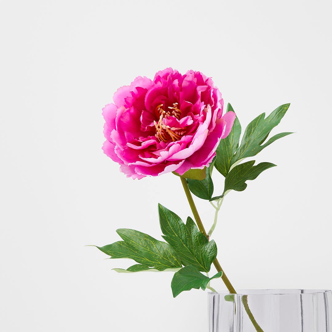https://s3-ap-southeast-2.amazonaws.com/fusionfactory.commerceconnect.bbnt.production/pim_media/000/222/157/M_F_S26-27_Peony_Stem_Pink_27356001_SI.jpg?1789100300