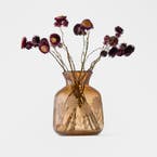 https://s3-ap-southeast-2.amazonaws.com/fusionfactory.commerceconnect.bbnt.production/pim_media/000/206/412/M_F_W26_Christa-Floral-Etched-Glass-Vase-Lrg_Brown_2502153_SCALE_SI.jpg?1767155797