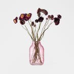 https://s3-ap-southeast-2.amazonaws.com/fusionfactory.commerceconnect.bbnt.production/pim_media/000/206/408/M_F_W26_Christa-Floral-Etched-Glass-Vase-Sml_Pink_2502153_SCALE_SI.jpg?1767155623