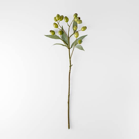 https://s3-ap-southeast-2.amazonaws.com/fusionfactory.commerceconnect.bbnt.production/pim_media/000/206/433/M_F_W26_Eucalyptus-Gumnut-Stem_Green_26920401_V2_SI.jpg?1767156713