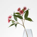 https://s3-ap-southeast-2.amazonaws.com/fusionfactory.commerceconnect.bbnt.production/pim_media/000/206/464/M_F_W26_Flowering-Gum-Stem_Red_26920302_SI.jpg?1767157627
