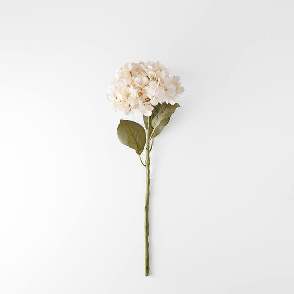 https://s3-ap-southeast-2.amazonaws.com/fusionfactory.commerceconnect.bbnt.production/pim_media/000/206/474/M_F_W26_Hydrangea-Stem_Cream_26920204_V2_SI.jpg?1767157881
