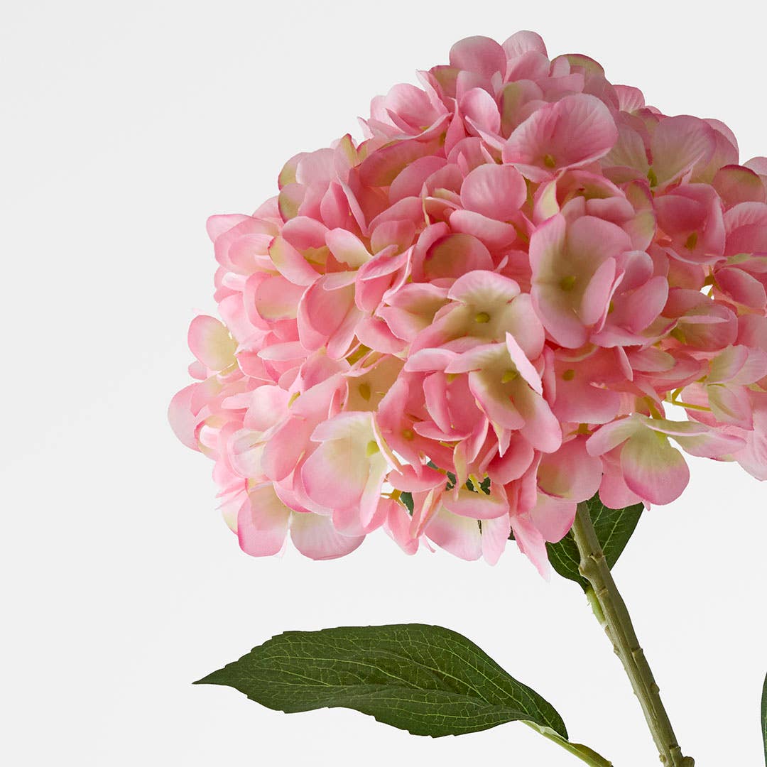 https://s3-ap-southeast-2.amazonaws.com/fusionfactory.commerceconnect.bbnt.production/pim_media/000/206/478/M_F_W26_Hydrangea-Stem_Pale-Pink_26920202_Detail_SI.jpg?1767157977