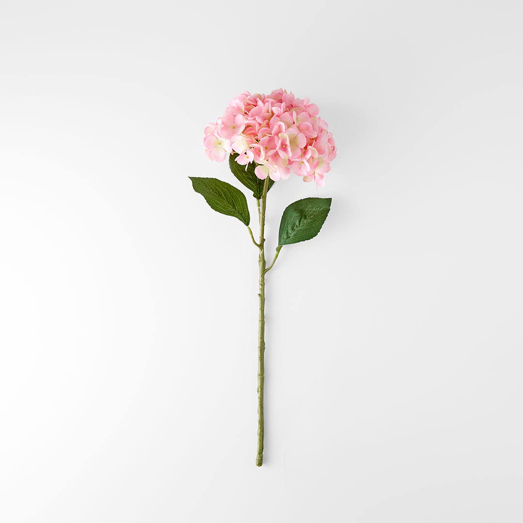 https://s3-ap-southeast-2.amazonaws.com/fusionfactory.commerceconnect.bbnt.production/pim_media/000/206/477/M_F_W26_Hydrangea-Stem_Pale-Pink_26920202_V2_SI.jpg?1767157977