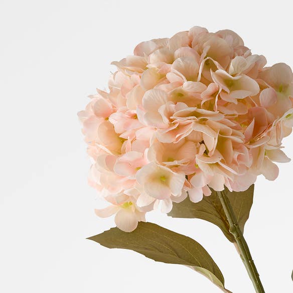 https://s3-ap-southeast-2.amazonaws.com/fusionfactory.commerceconnect.bbnt.production/pim_media/000/206/479/M_F_W26_Hydrangea-Stem_Peach_26920203_Detail_SI.jpg?1767157988