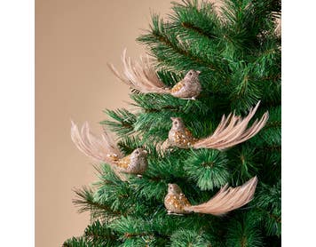 https://s3-ap-southeast-2.amazonaws.com/fusionfactory.commerceconnect.bbnt.production/pim_media/000/213/431/M_F_Xmas-26-27_HT_Decs-Set_S4-Beaded-Feather-Bird-Clip_27011701_SI.jpg?1778825908