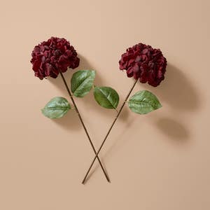 https://s3-ap-southeast-2.amazonaws.com/fusionfactory.commerceconnect.bbnt.production/pim_media/000/217/185/M_F_Xmas-26-27_HT_SPRAY_S2-Faux-Hydrangea-Stem_27129101_SI.jpg?1783986100