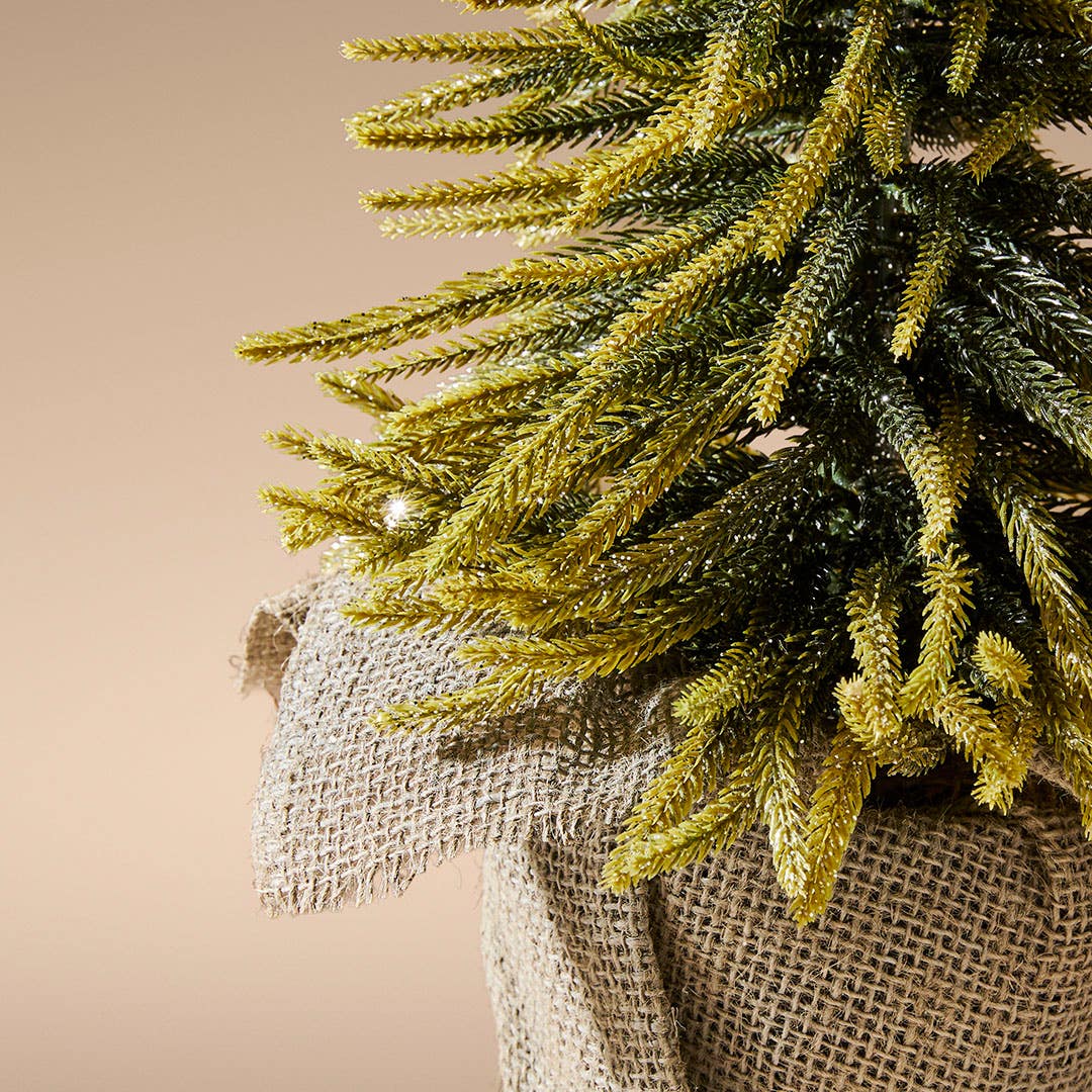 https://s3-ap-southeast-2.amazonaws.com/fusionfactory.commerceconnect.bbnt.production/pim_media/000/215/047/M_F_Xmas-26-27_HT_TREE_Tree-w-Glitter-in-Jute-Pot-Lge-Green-Natural_20609901_Detail-01_SI.jpg?1781738445