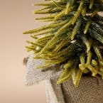 https://s3-ap-southeast-2.amazonaws.com/fusionfactory.commerceconnect.bbnt.production/pim_media/000/215/047/M_F_Xmas-26-27_HT_TREE_Tree-w-Glitter-in-Jute-Pot-Lge-Green-Natural_20609901_Detail-01_SI.jpg?1781738445
