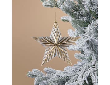 https://s3-ap-southeast-2.amazonaws.com/fusionfactory.commerceconnect.bbnt.production/pim_media/000/218/271/M_F_Xmas-26-27_LM_DECS_Star-Dec-w-Gold-Accents_27076601_SI.jpg?1785216223