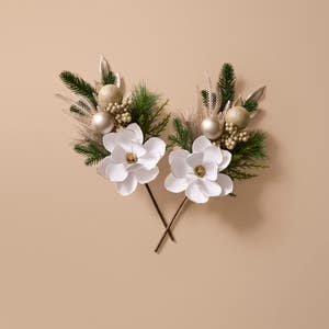 https://s3-ap-southeast-2.amazonaws.com/fusionfactory.commerceconnect.bbnt.production/pim_media/000/217/385/M_F_Xmas-26-27_LM_SPRAY_S2-Magnolia-_-Bauble-Spray_27081801_SI.jpg?1784089821