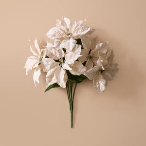 https://s3-ap-southeast-2.amazonaws.com/fusionfactory.commerceconnect.bbnt.production/pim_media/000/218/002/M_F_Xmas-26-27_LM_SPRAY_S2_Poinsettia-Bunch_27043201_SI.jpg?1784591711
