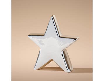 https://s3-ap-southeast-2.amazonaws.com/fusionfactory.commerceconnect.bbnt.production/pim_media/000/215/133/M_F_Xmas-26-27_LM_STAND_DECS_Porcelain-Star-Decor-Sml_27015801_SI.jpg?1781747897