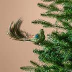 https://s3-ap-southeast-2.amazonaws.com/fusionfactory.commerceconnect.bbnt.production/pim_media/000/214/596/M_F_Xmas-26-27_MR_DECS_Bird-on-Clip-w-Mixed-Feather-Tail-Green_22172301_SI.jpg?1781492330
