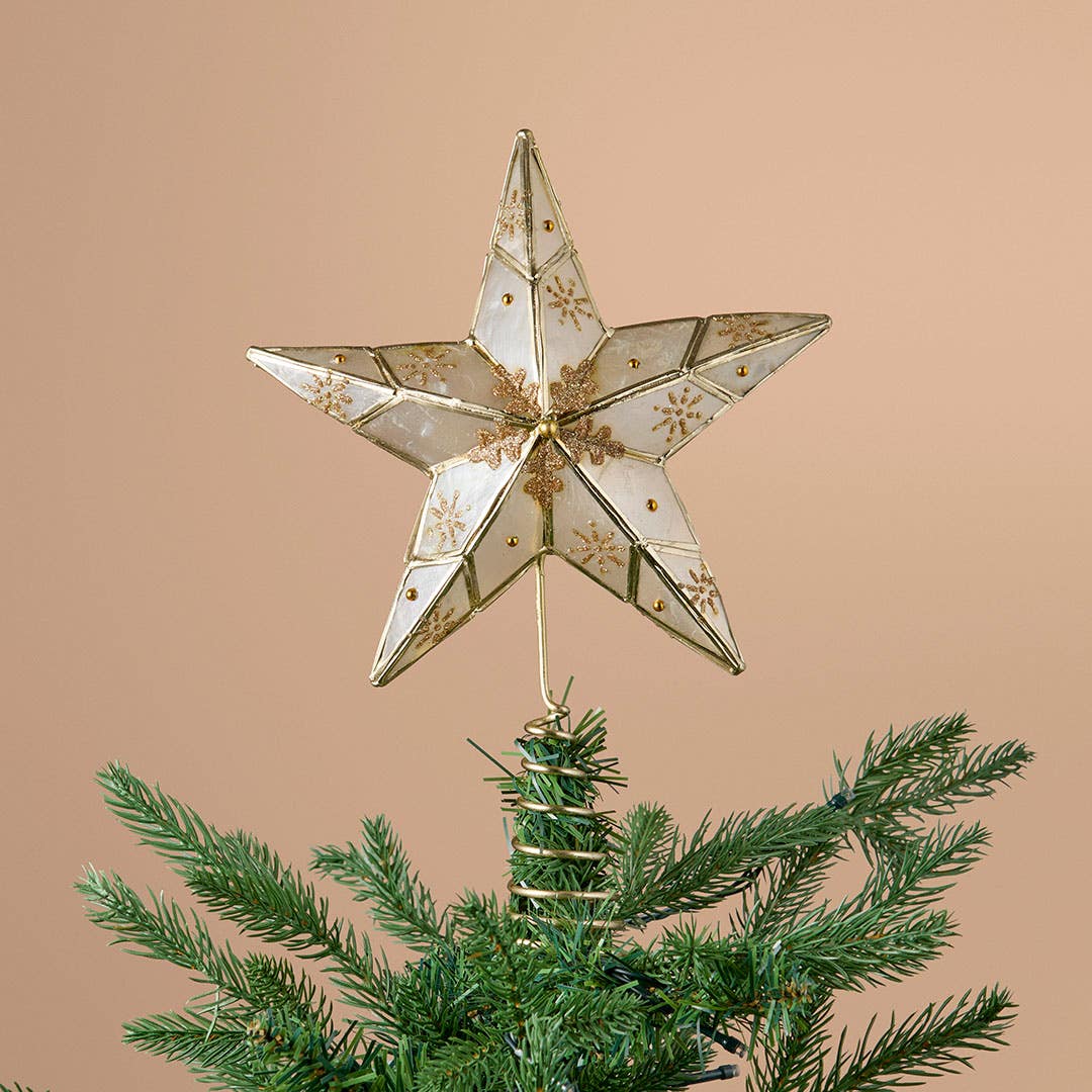 https://s3-ap-southeast-2.amazonaws.com/fusionfactory.commerceconnect.bbnt.production/pim_media/000/217/531/M_F_Xmas-26-27_MR_TOPPER_Capiz-Star-Glitter-Tree-Topper_22190001_SI.jpg?1784182643