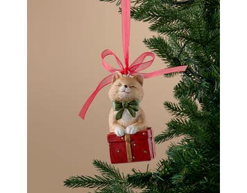 https://s3-ap-southeast-2.amazonaws.com/fusionfactory.commerceconnect.bbnt.production/pim_media/000/217/392/M_F_Xmas-26-27_S4_MR_DECS_Resin-Cat-on-Gift-Box-Dec_27073401_SI.jpg?1784091681