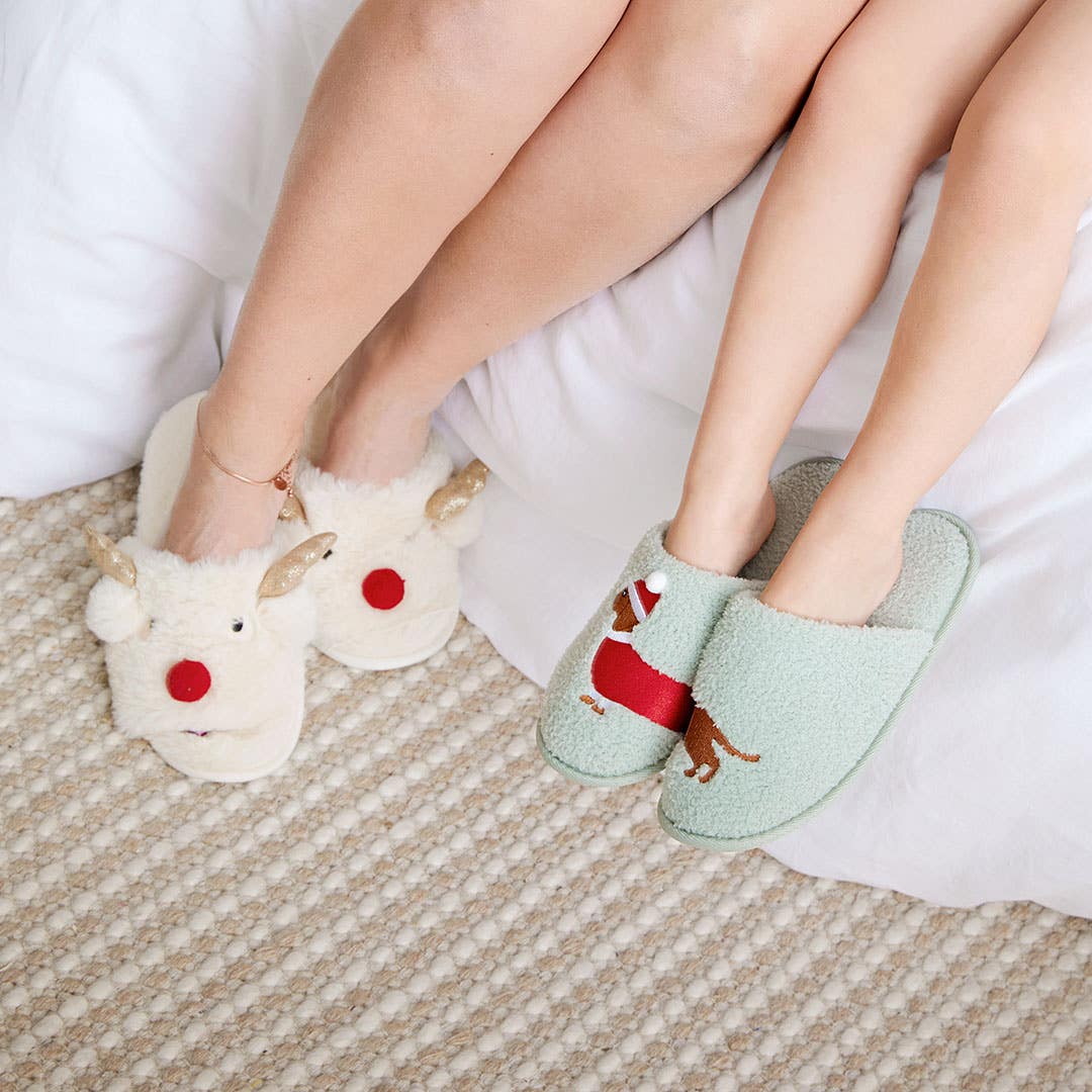 Rudolph slippers online