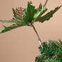 DECS_HT S4 Lrg Ribbed Velvet Poinsettia Clip · Sage