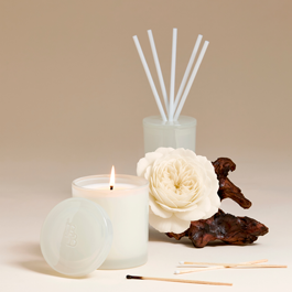 Shop Cushions, Throws & Decorative Accessories